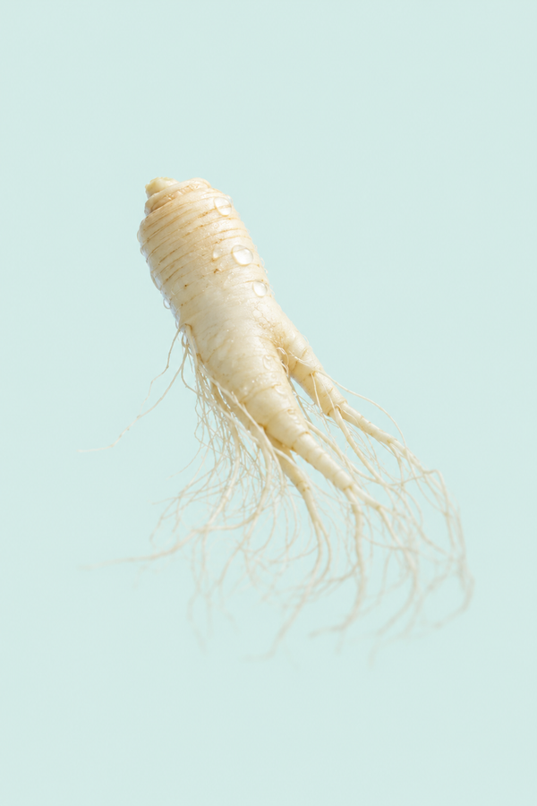 panax ginseng root extract